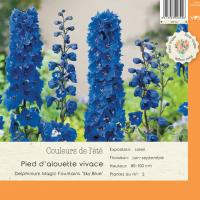 Delphinium Magic Fountains 'Sky Blue'
