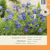 Geranium Orion