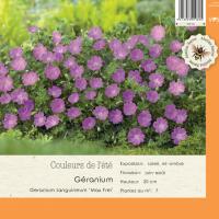 Geranium Sanguineum Max Frei