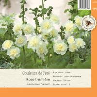 Alcea Rosea Lemon