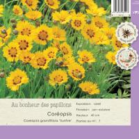 Coreopsis grandiflora 'Sunfire'