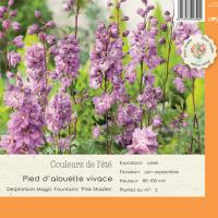 Delphinium Magic Fountains 'Pink Shades'