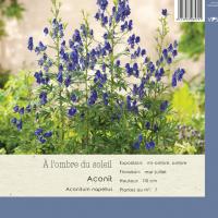 Aconitum napellus 