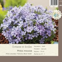 Phlox subulata 'Fabulous Blue violet'